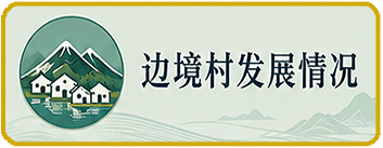 边境村发展情况